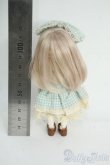 画像3: DOLLCE/ミニスウィーツドール:シナモン Y-26-01-14-123-YD-ZY (3)