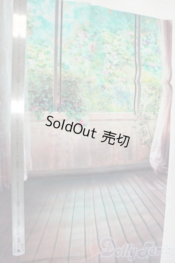 画像2: SD/背景布 Y-26-01-07-125-YD-ZY (2)