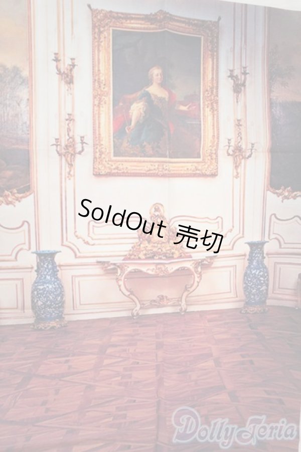 画像1: SD/背景布 Y-26-01-07-126-YD-ZY (1)