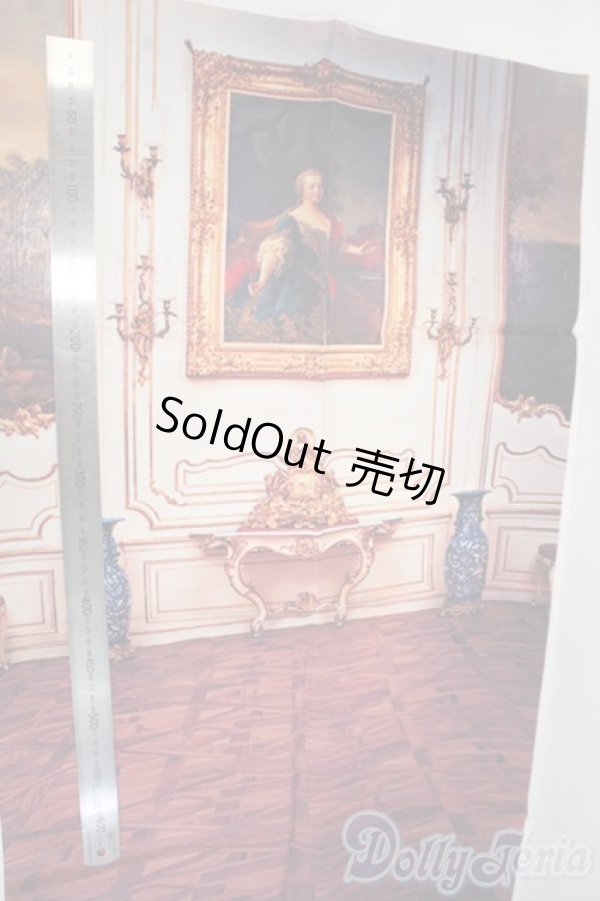 画像2: SD/背景布 Y-26-01-07-126-YD-ZY (2)