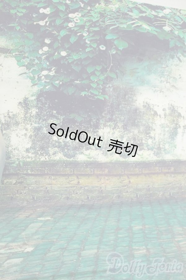 画像1: SD/背景布 Y-26-01-07-127-YD-ZY (1)