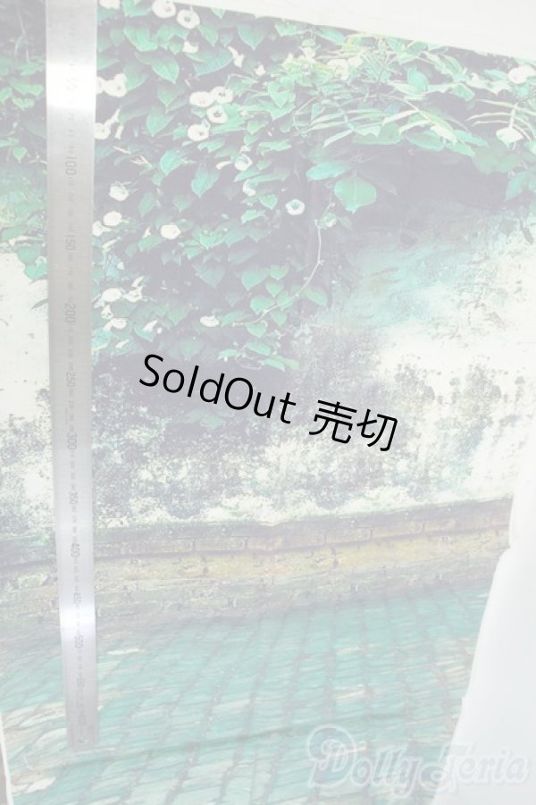 画像2: SD/背景布 Y-26-01-07-127-YD-ZY (2)