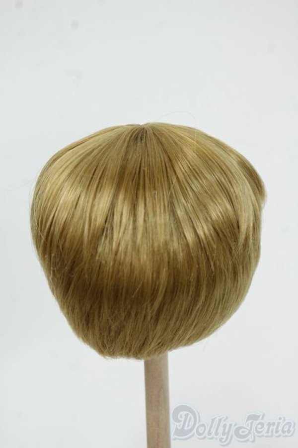 画像2: 9-10inch/ウィッグ Y-26-01-07-092-YD-ZY (2)