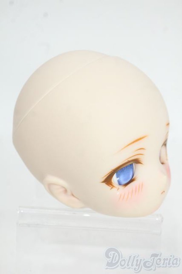 画像2: DD/DDH-01(船長様製)カスタムヘッド Y-26-01-14-003-YD-ZY (2)