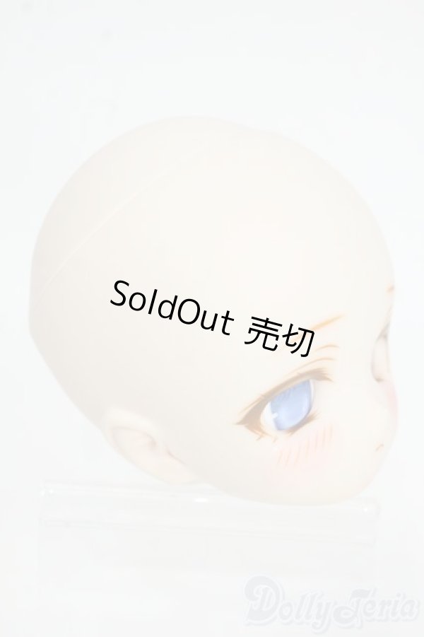 画像2: DD/DDH-01(船長様製)カスタムヘッド Y-26-01-14-003-YD-ZY (2)