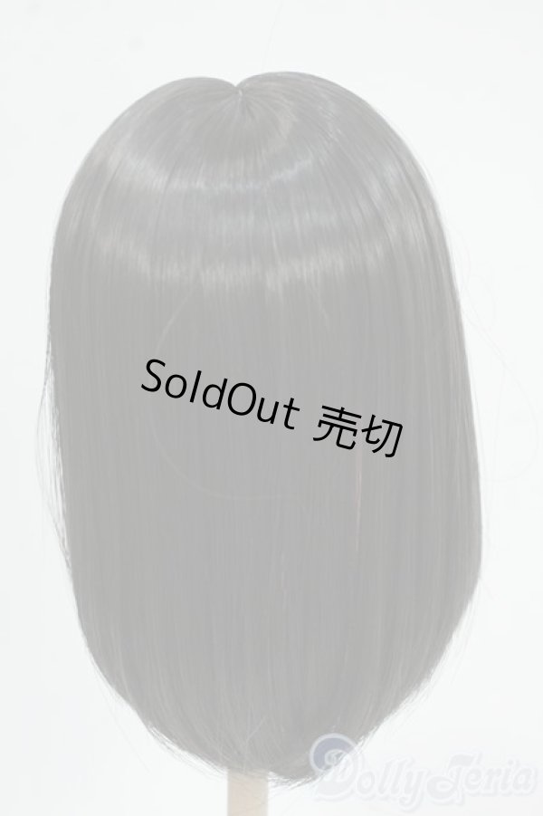 画像2: 8-9inch/ウィッグ：Nemurumori&LUNA様製 Y-26-01-14-005-YD-ZY (2)