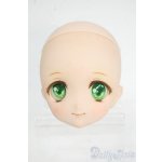 画像: DDH-22/カスタムヘッド Y-26-01-14-043-YD-ZY