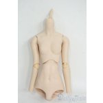 画像: DD/ベースボディ Y-26-01-14-124-YD-ZY