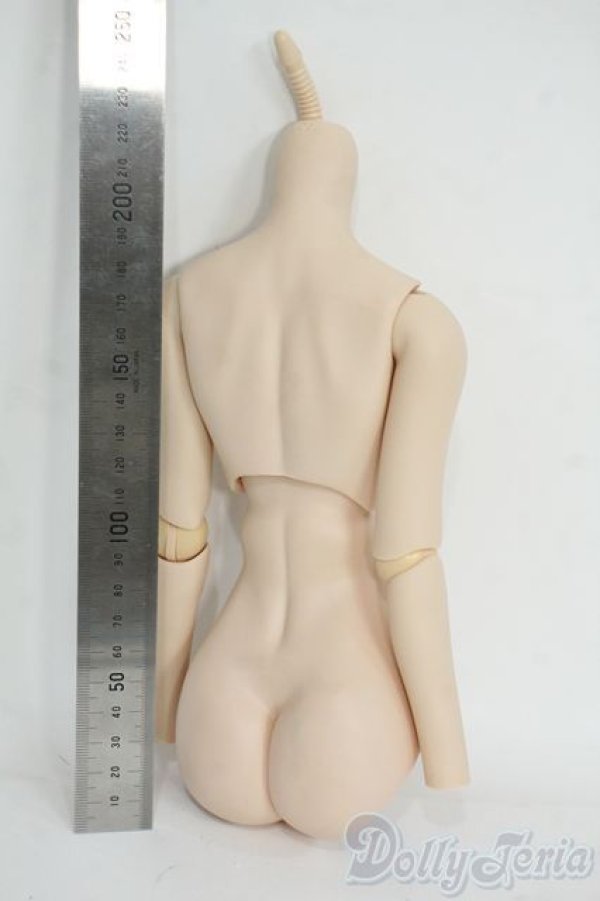 画像2: DD/ベースボディ Y-26-01-14-124-YD-ZY (2)