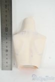 画像2: DDS/DDS-B-01-SW 上半身パーツ-M胸 セミホワイト Y-26-01-14-126-YD-ZY (2)