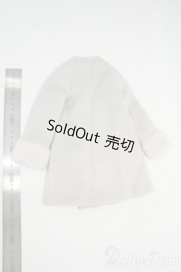 画像2: DD/OF:VOLKS製 アウター Y-26-01-14-145-YD-ZY (2)