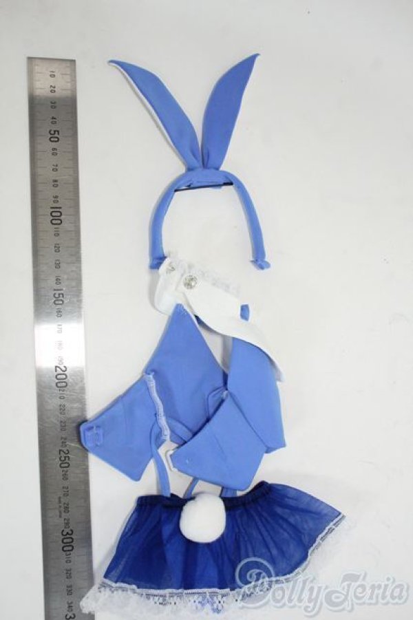 画像4: DD/OF:衣装セット Y-26-01-14-197-YD-ZY (4)