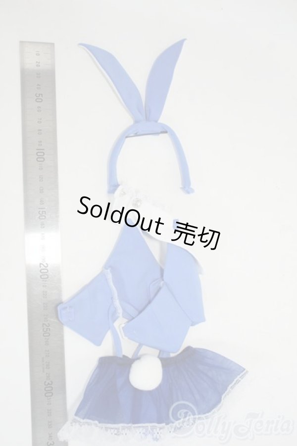 画像4: DD/OF:衣装セット Y-26-01-14-197-YD-ZY (4)