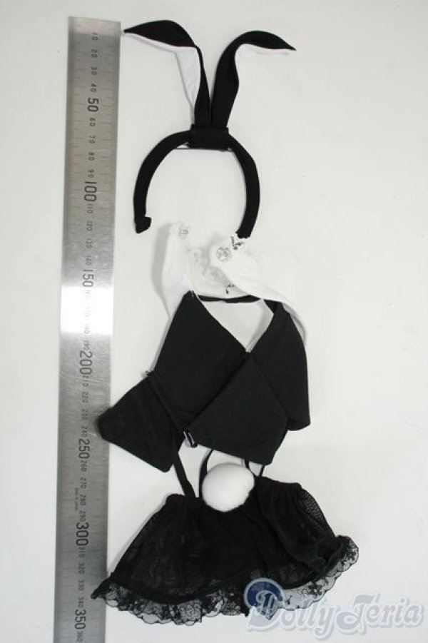 画像4: DD/OF:衣装セット Y-26-01-14-196-YD-ZY (4)