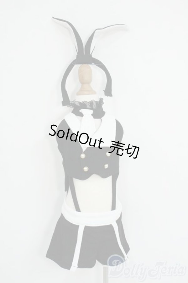 画像1: DD/OF:衣装セット Y-26-01-14-195-YD-ZY (1)