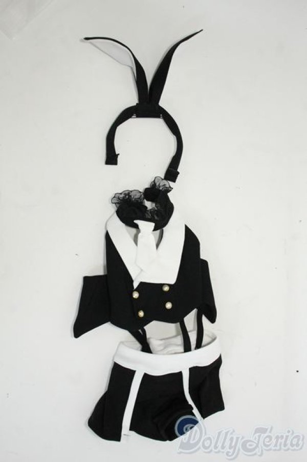 画像3: DD/OF:衣装セット Y-26-01-14-195-YD-ZY (3)