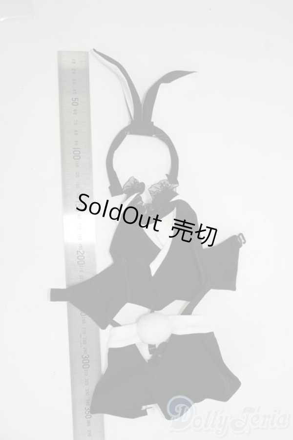 画像4: DD/OF:衣装セット Y-26-01-14-195-YD-ZY (4)