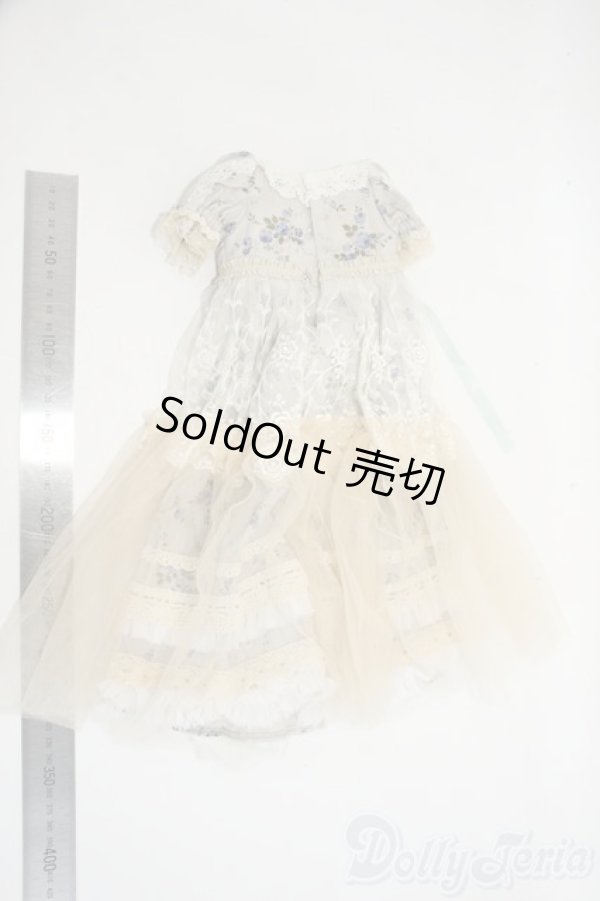 画像2: SD/OF:ドレス Y-26-01-14-216-YD-ZY (2)