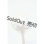 画像: 8inch/ウィッグ Y-26-01-14-204-YD-ZY