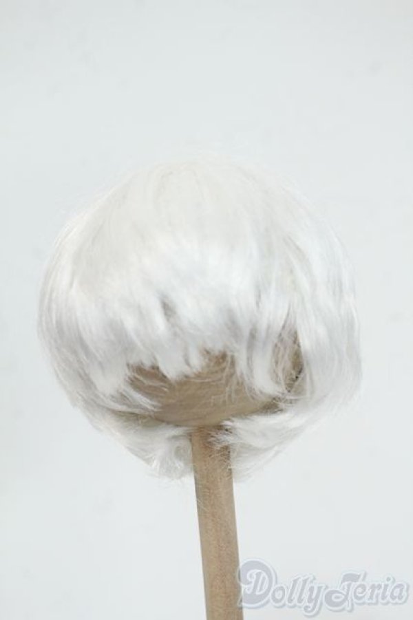 画像1: 8inch/ウィッグ Y-26-01-14-204-YD-ZY (1)