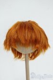 画像1: 8-9inch/ウィッグ Y-26-01-14-206-YD-ZY (1)