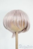 画像1: 8-9inch/ウィッグ Y-26-01-21-170-YD-ZY (1)