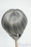 画像2: 9-10inch/ウィッグ Y-26-01-21-166-YD-ZY (2)