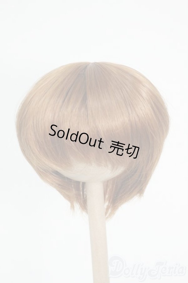 画像1: 7-8inch/ウィッグ Y-26-01-21-184-YD-ZY (1)