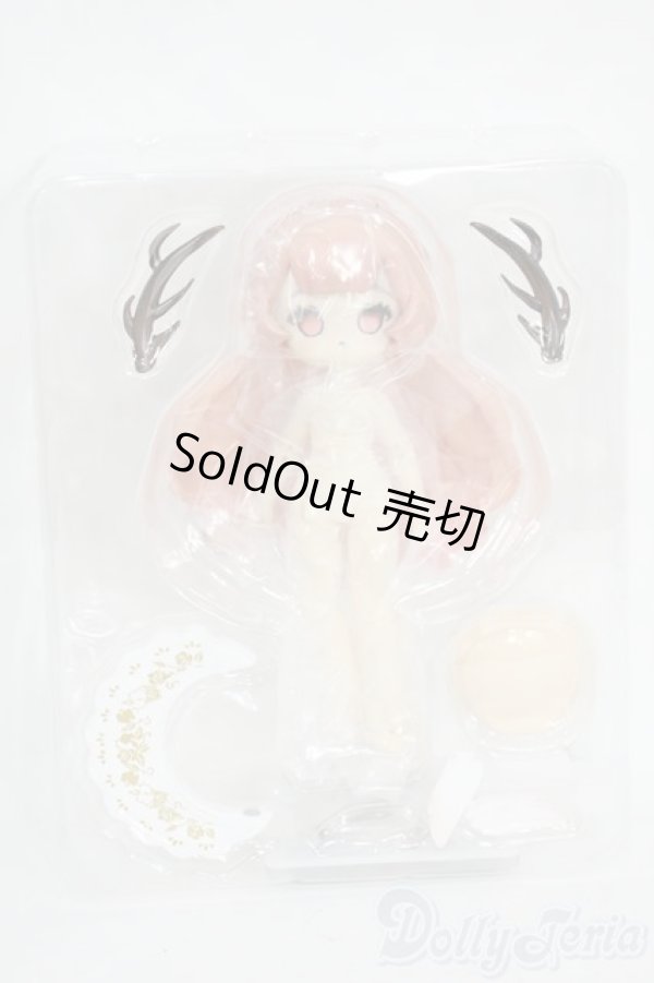 画像2: 秘境巡礼/シークレット　レナ Y-26-01-21-060-YD-ZY (2)