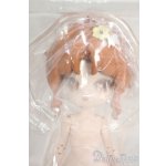 画像: MINTY(ミンティ)/ファンタジーの森:スイスイ Y-26-01-21-048-YD-ZY