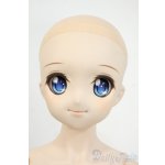 画像: DDSボディ＆DDH-04ヘッド Y-26-01-21-008-YD-ZY