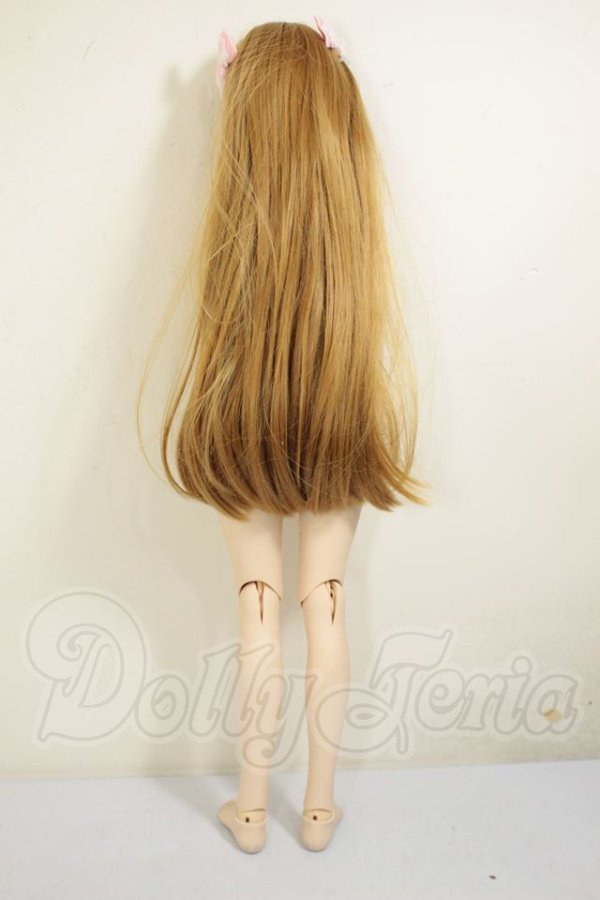 画像6: DDSボディ＆DDH-04ヘッド A-26-06-29-252-WT-ZA (6)