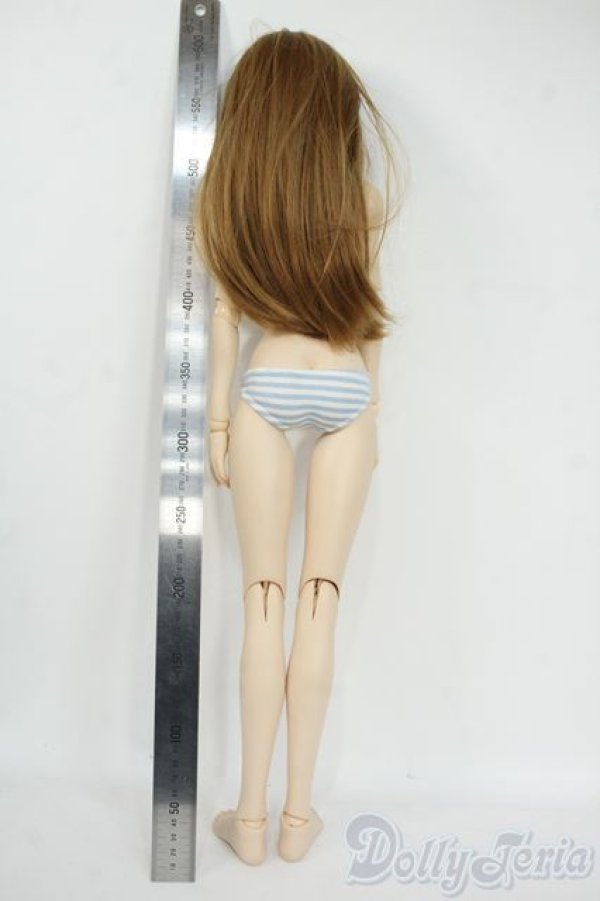 画像6: DD/DDSマユ+DDボディ Y-26-01-21-009-YD-ZY (6)