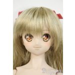 画像: DDS/マユ Y-26-01-21-007-YD-ZY