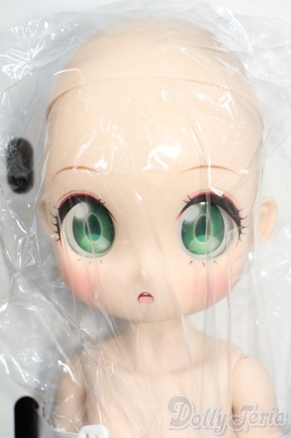 画像2: ちみっこDD/アーニャ・フォージャー Y-26-01-21-006-YD-ZY (2)