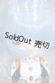 画像: colection doll/エヴァンゲリオン 綾波レイ Y-26-01-21-038-YD-ZY