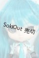 画像: Collection Doll/初音ミク Y-26-01-21-127-YD-ZY