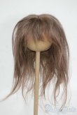 画像1: 9inch/ウィッグ Y-26-01-21-162-YD-ZY (1)