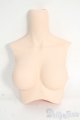 画像: DD/上半身パーツ・M胸 Y-26-01-21-213-YD-ZY