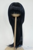 画像1: 8.5-9inch/ウィッグ Y-26-01-28-061-YD-ZY (1)