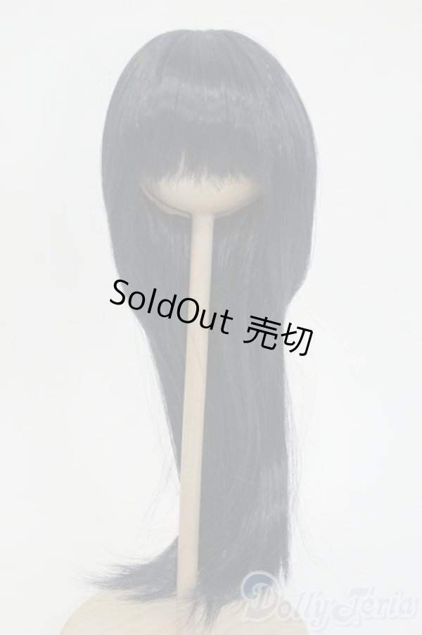 画像1: 8.5-9inch/ウィッグ Y-26-01-28-061-YD-ZY (1)