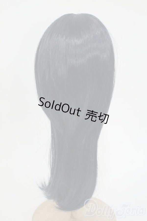 画像2: 8.5-9inch/ウィッグ Y-26-01-28-061-YD-ZY (2)