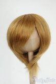 画像1: 6-7inch/ウィッグ Y-26-01-28-067-YD-ZY (1)