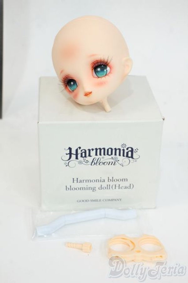 画像4: Harmonia bloom/blooming doll:楓蜜様カスタムヘッド Y-26-01-28-007-YD-ZY (4)