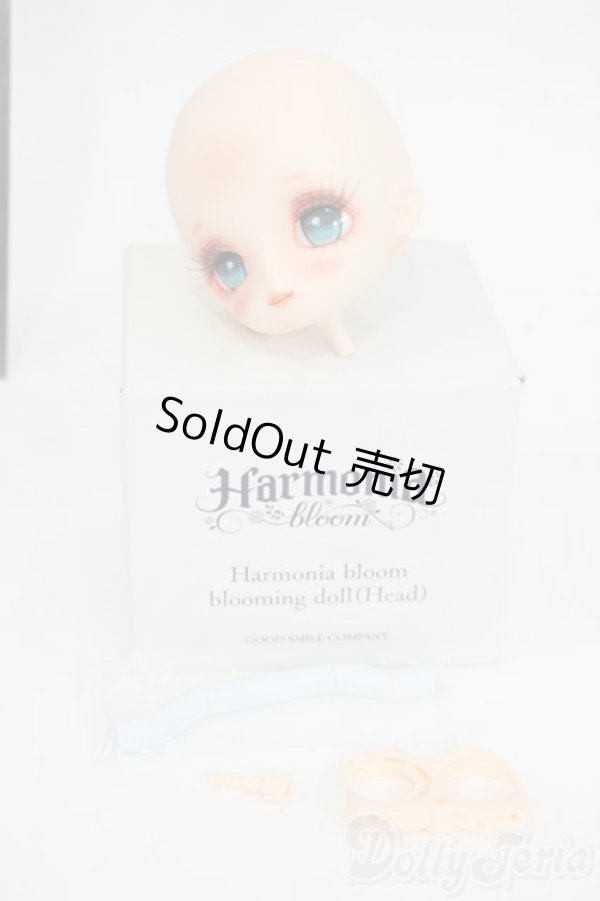 画像4: Harmonia bloom/blooming doll:楓蜜様カスタムヘッド Y-26-01-28-007-YD-ZY (4)