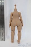 画像2: IMOMODOLL/1/6ボディ Y-26-01-28-109-YD-ZY (2)