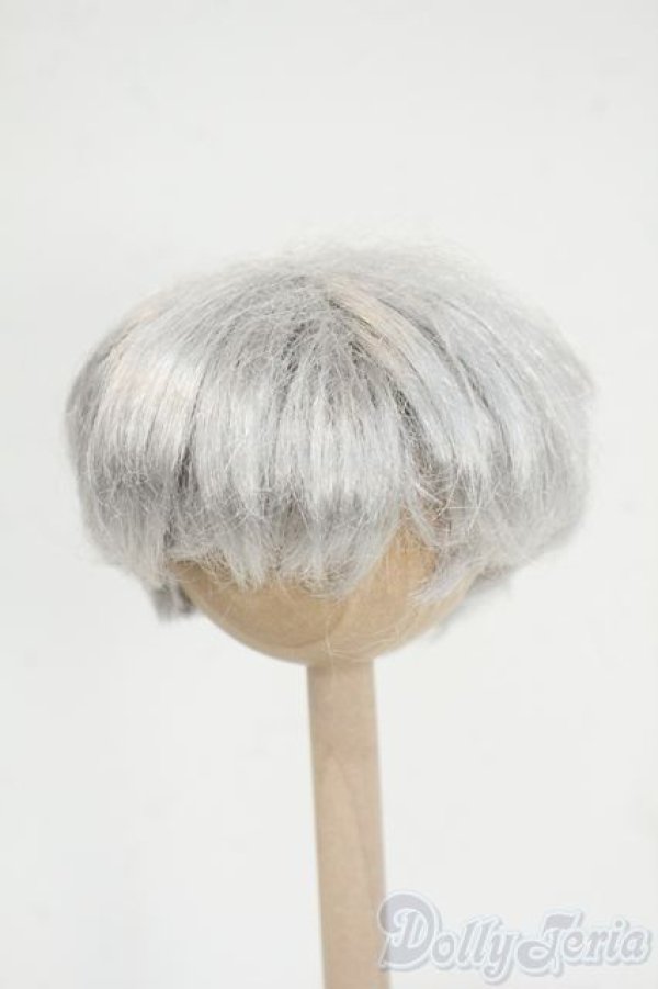 画像1: 5.5inch/ウィッグ Y-26-02-04-065-WT-ZY (1)