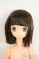 画像: azone/ピュアニーモボディ+カスタムヘッド Y-26-02-04-081-WT-ZY