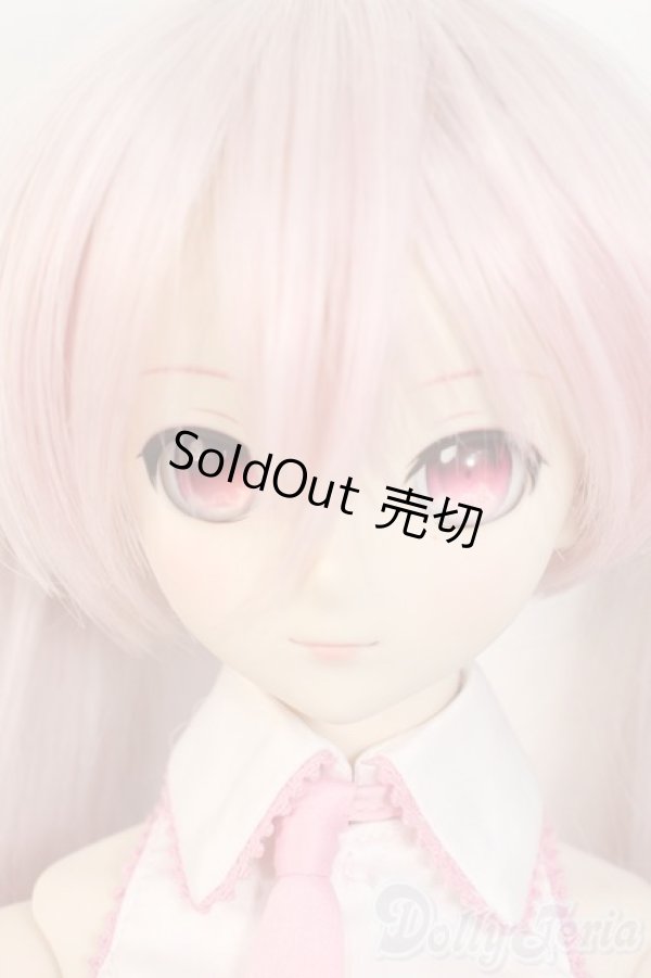 画像1: DD/桜ミク2.0 Y-26-02-04-122-WT-ZY (1)