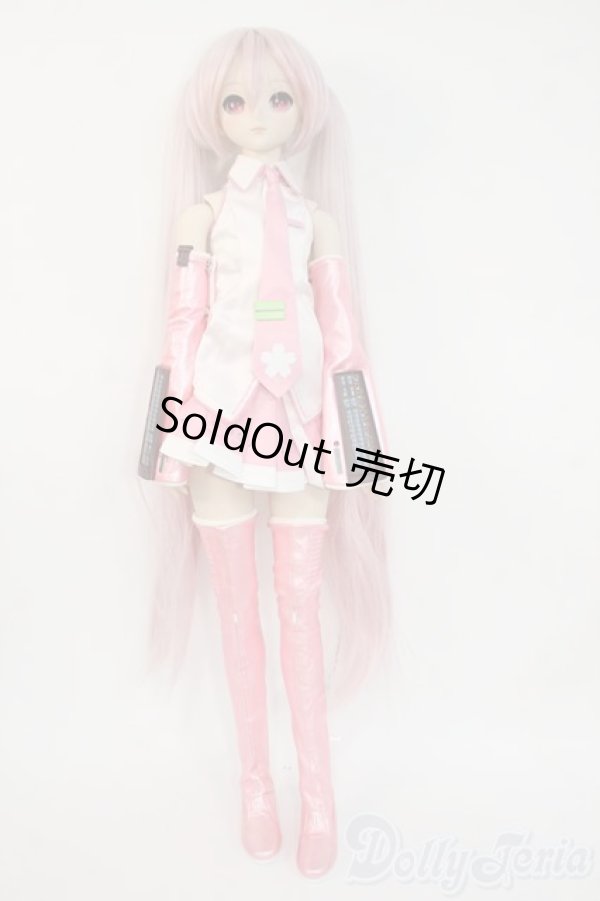 画像5: DD/桜ミク2.0 Y-26-02-04-122-WT-ZY (5)